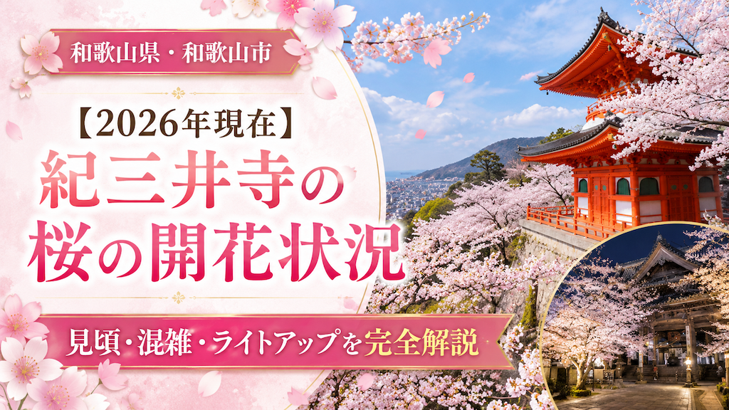 紀三井寺の桜