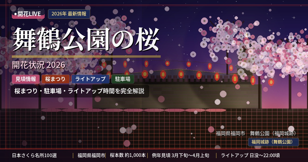 舞鶴公園の桜　開花状況