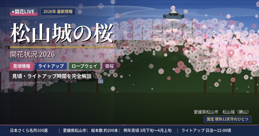 松山城の桜の開花状況