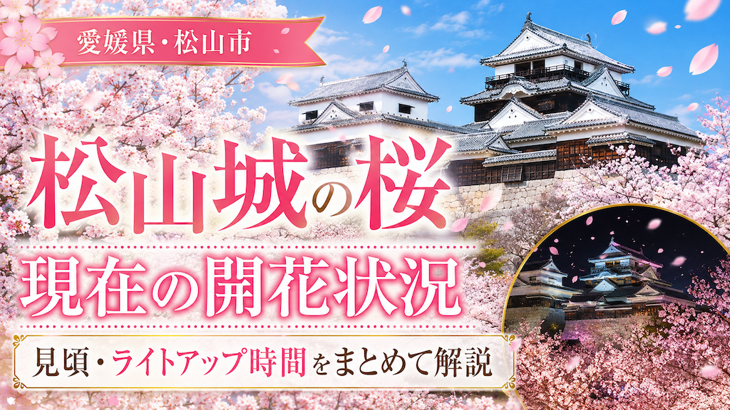 松山城の桜