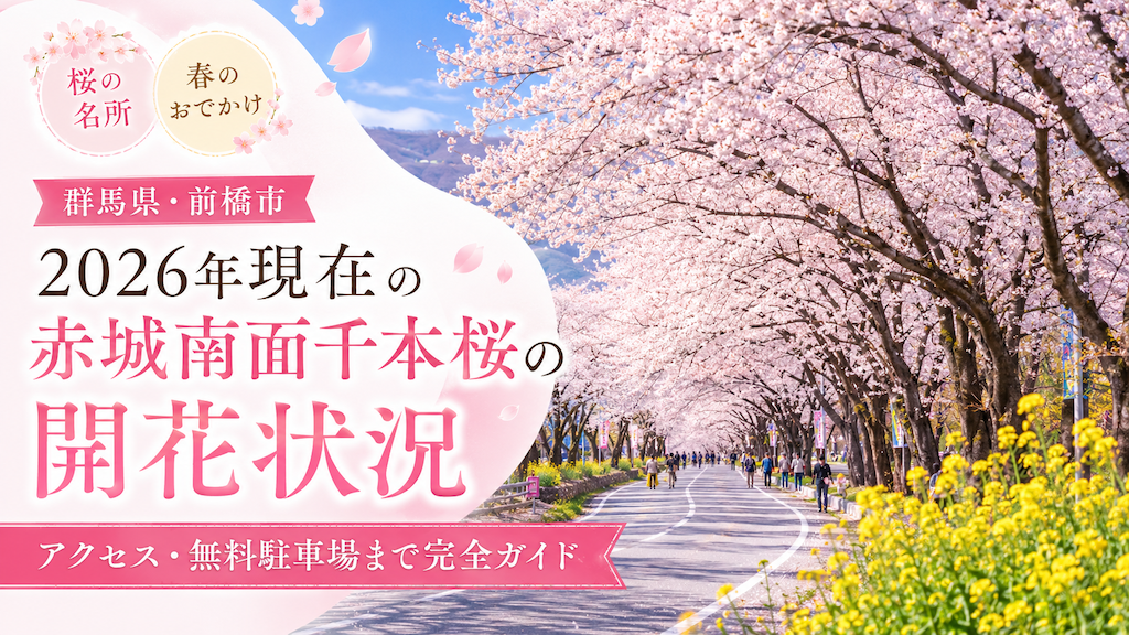 赤城南面千本桜