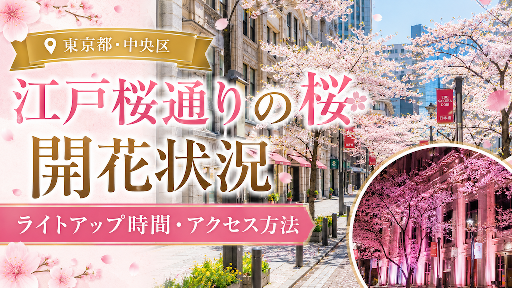 江戸桜通りの桜