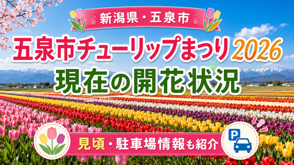 五泉市チューリップまつり