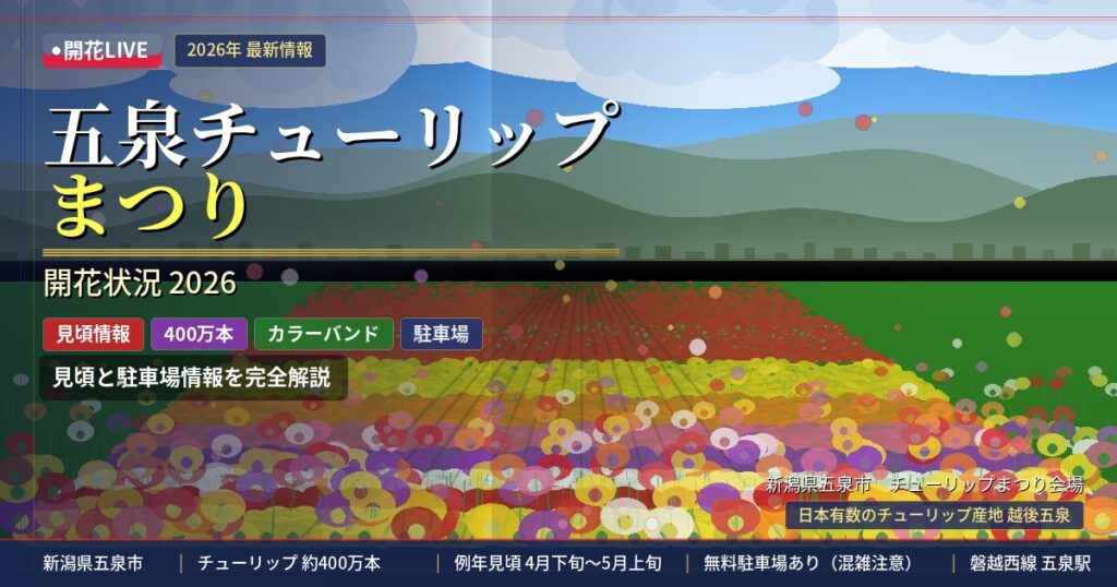 五泉市のチューリップの開花状況