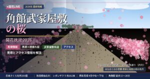 角館武家屋敷の桜の開花状況