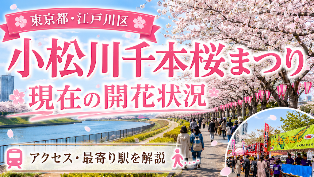 小松川千本桜まつり