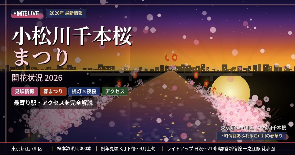 小松川千本桜の開花状況