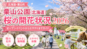 栗山公園(北海道)桜