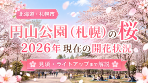 円山公園(札幌)の桜