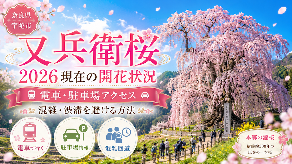 又兵衛桜