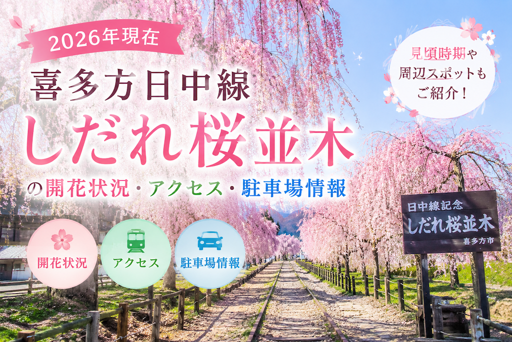 喜多方日中線しだれ桜並木