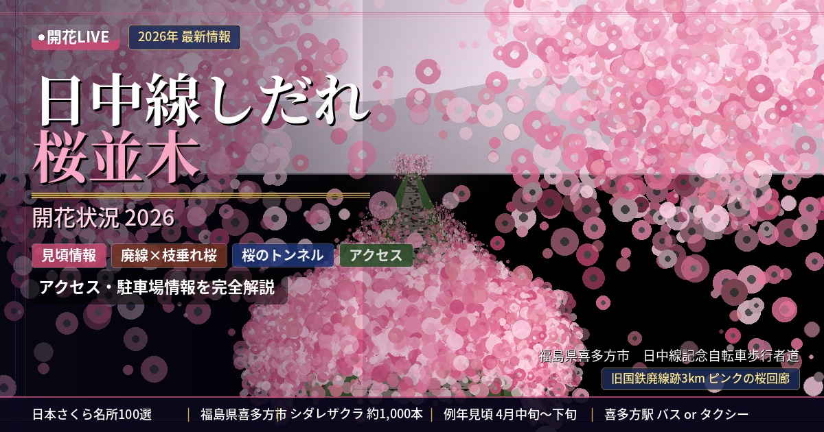 喜多方日中線しだれ桜並木の開花状況