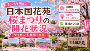 日本国花苑桜まつり