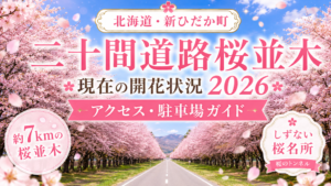 二十間道路桜並木