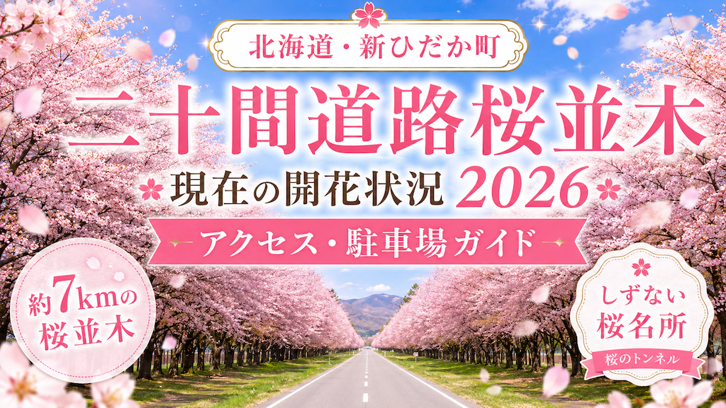 二十間道路桜並木