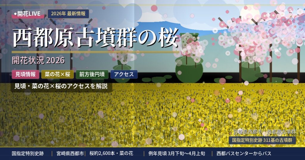 西都原古墳群の桜と菜の花の開花状況