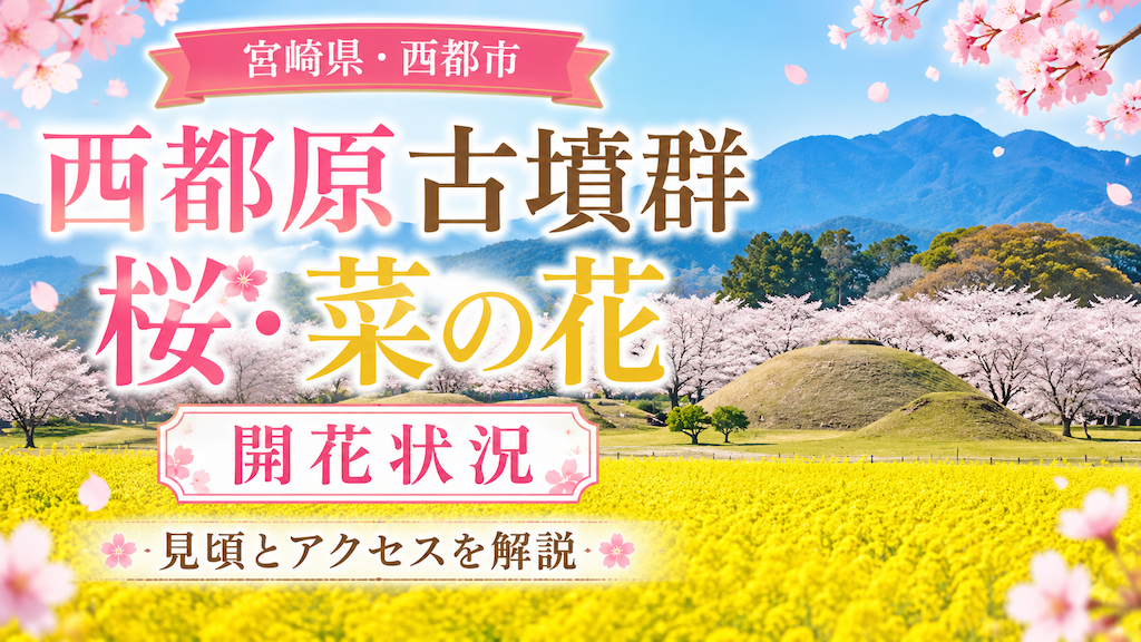 西都原古墳群の桜・菜の花