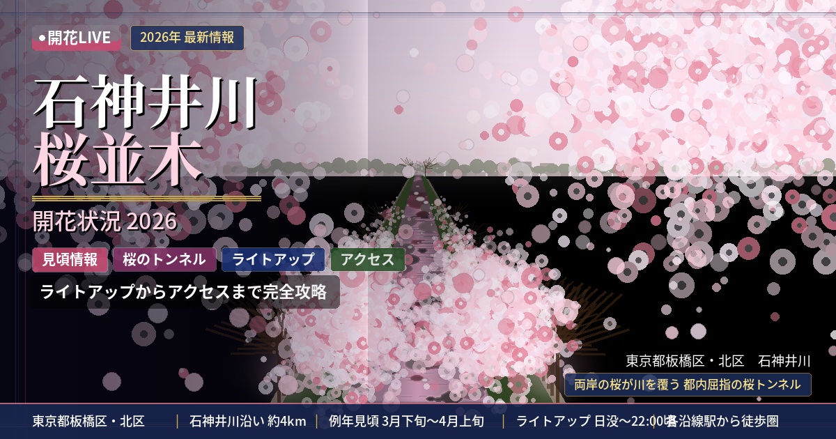 石神井川桜並木の開花状況