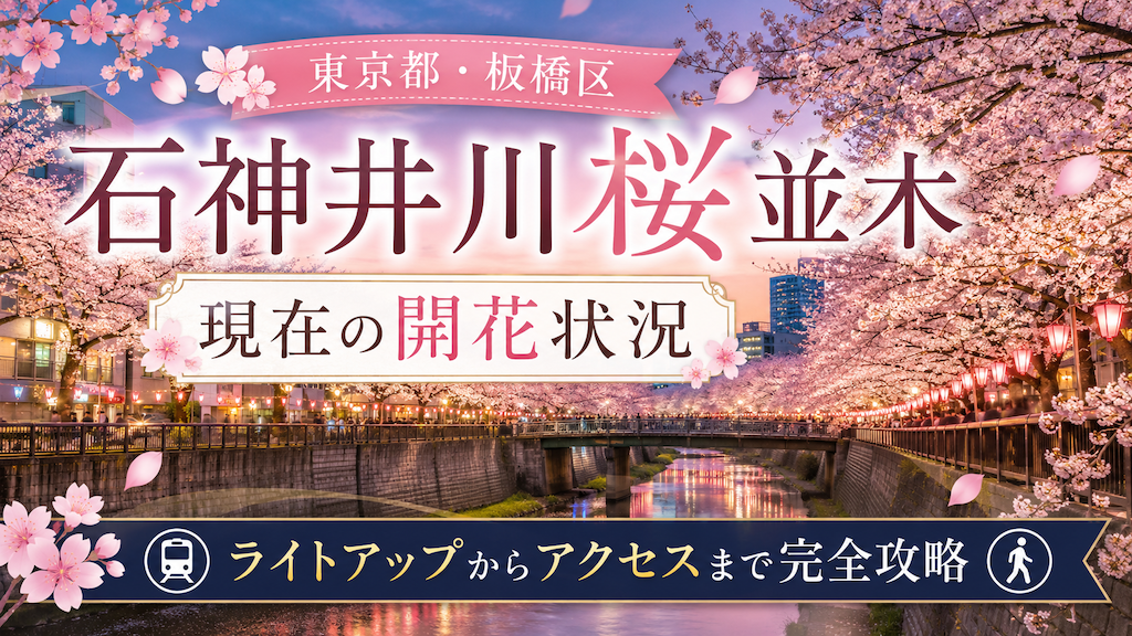 石神井川桜並木