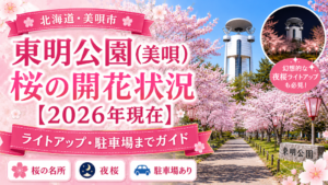 東明公園(美唄)桜
