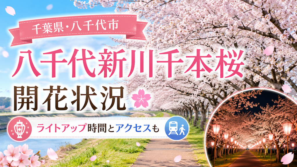 八千代新川千本桜