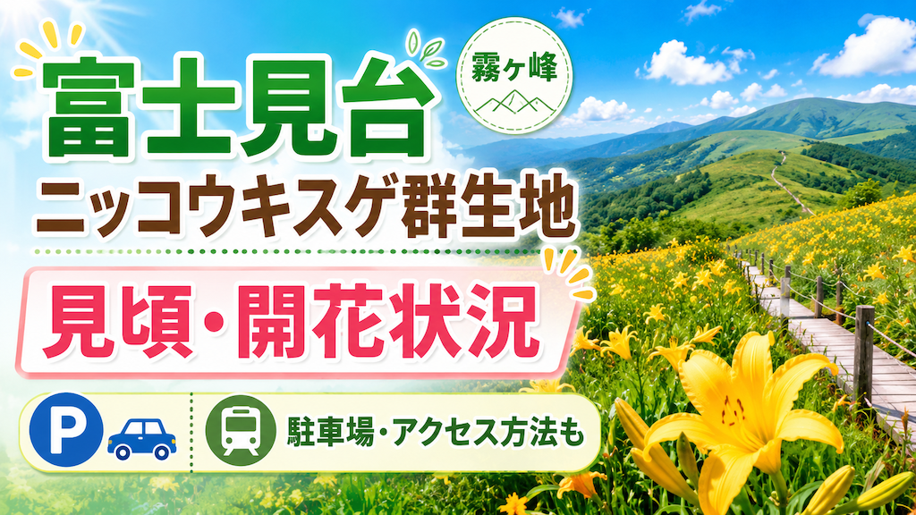 富士見台ニッコウキスゲ群生地