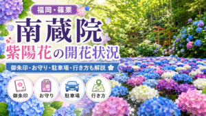 南蔵院の紫陽花