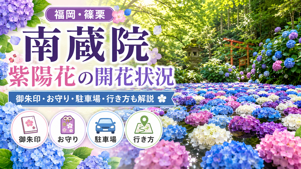 南蔵院の紫陽花