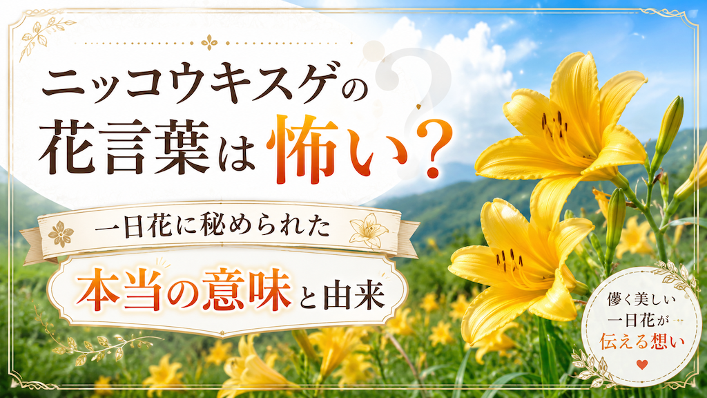 ニッコウキスゲの花言葉