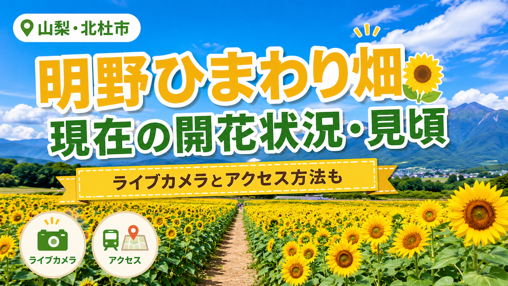 明野ひまわり畑