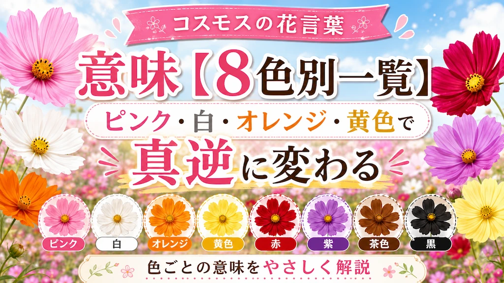 コスモスの花言葉