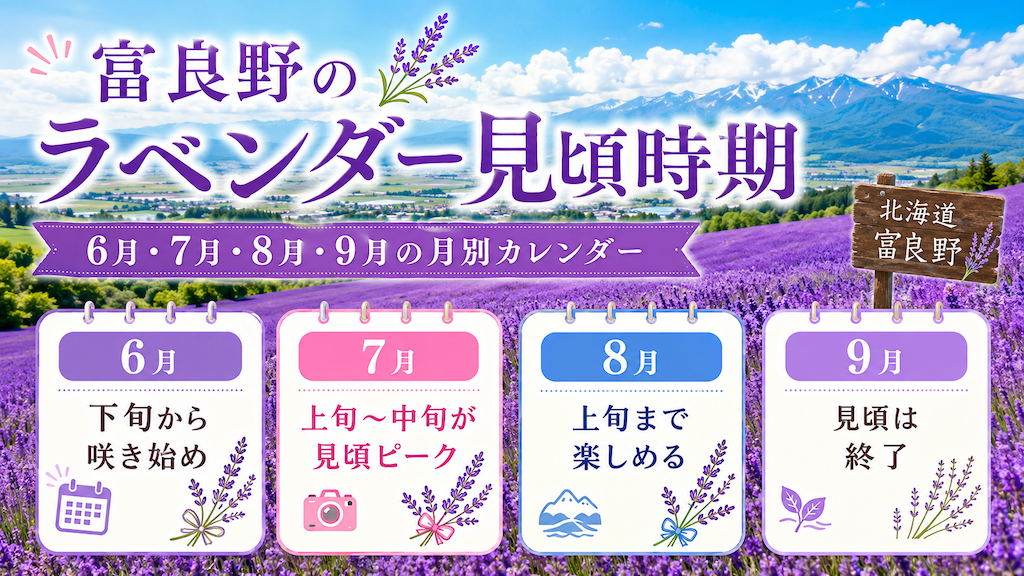 富良野のラベンダー