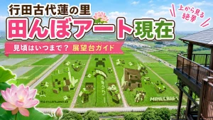 行田古代蓮の里 田んぼアート