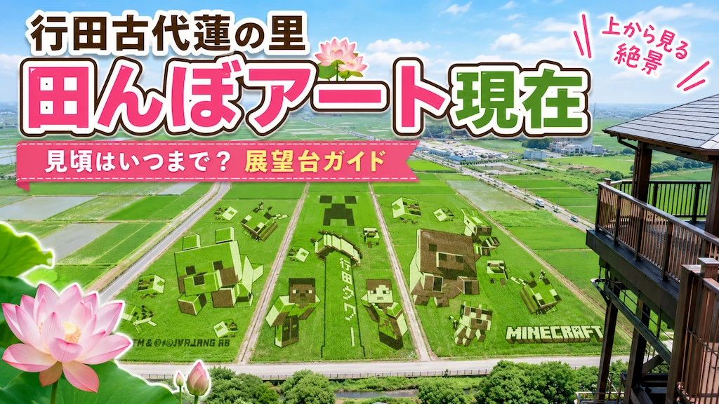 行田古代蓮の里 田んぼアート