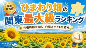 ひまわり畑の関東最大級ランキング