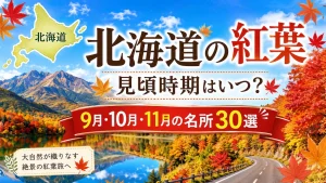 北海道の紅葉 見頃時期