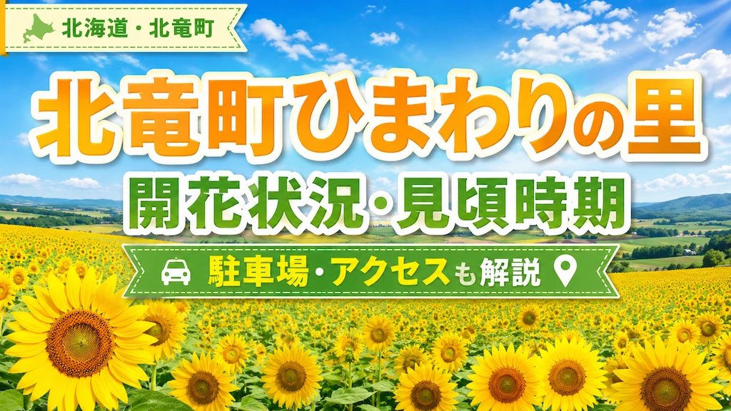 北竜町ひまわりの里の開花状況・見頃時期