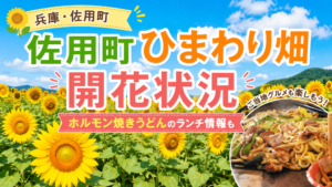 佐用町ひまわり畑