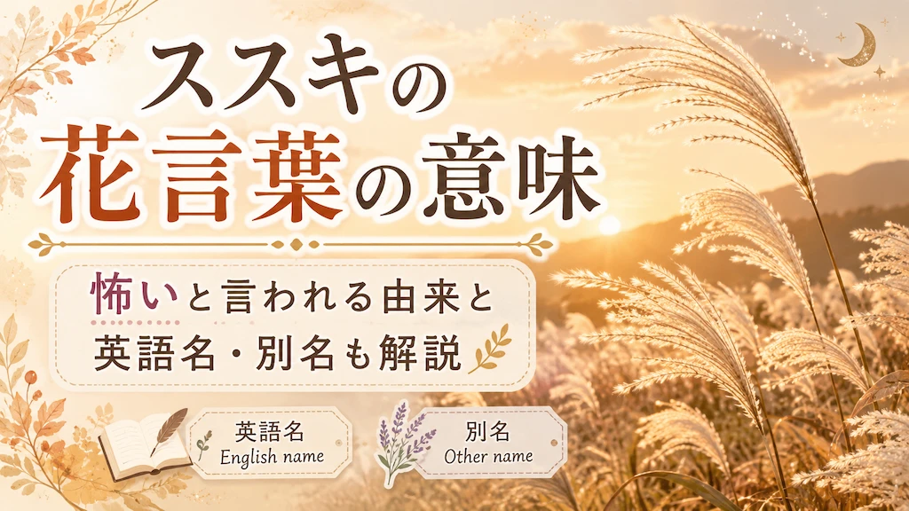 ススキの花言葉