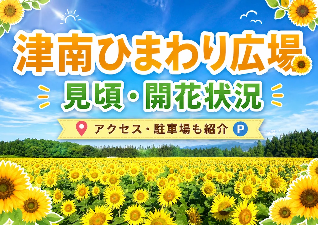 津南ひまわり広場の見頃・開花状況
