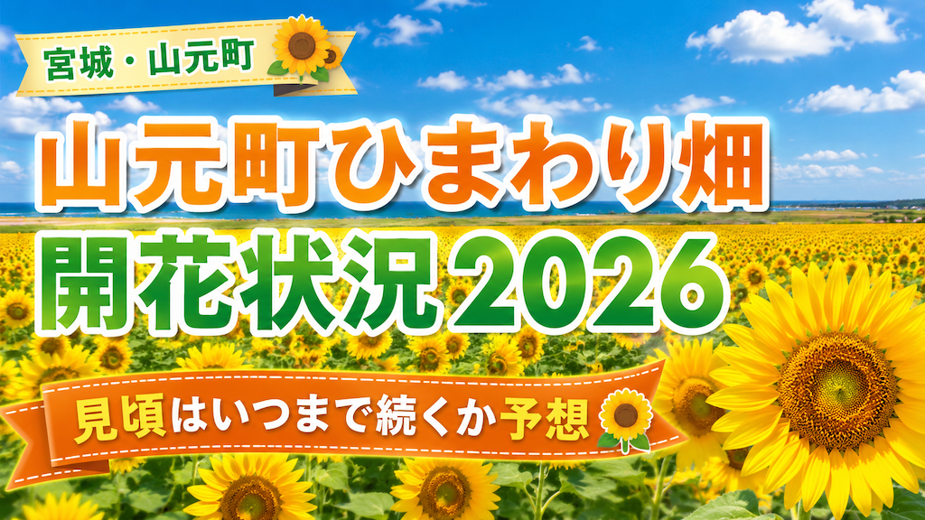 山元町ひまわり畑