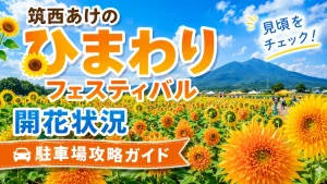 筑西あけのひまわりフェスティバル