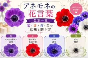 アネモネの花言葉