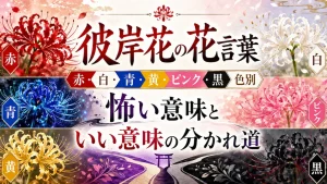 彼岸花の花言葉
