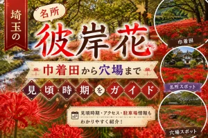 埼玉の彼岸花の名所