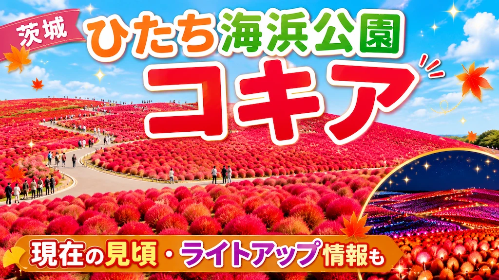 茨城ひたち海浜公園コキア