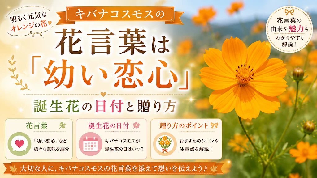 キバナコスモスの花言葉