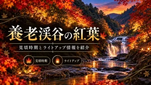 養老渓谷の紅葉
