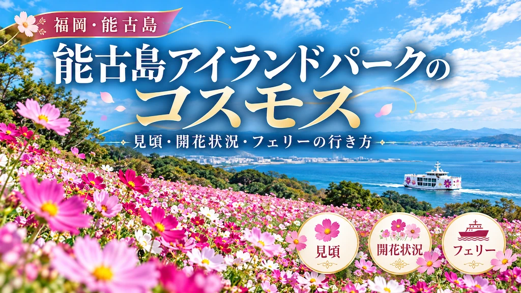 能古島アイランドパークのコスモス