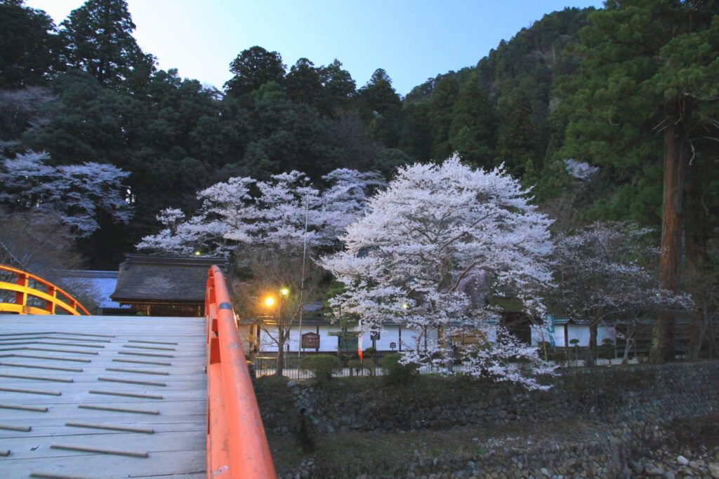 室生寺のライトアップ